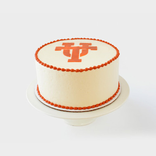 University of Texas Graduation Cake View 2