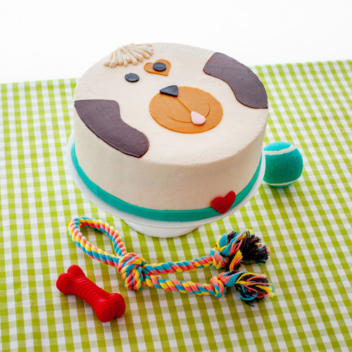 Dog Decorated Cake view 1