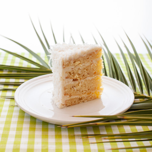 Tropical Coconut view 4